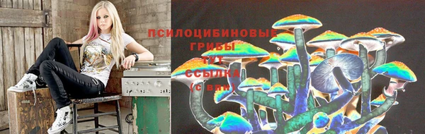 спиды Аркадак