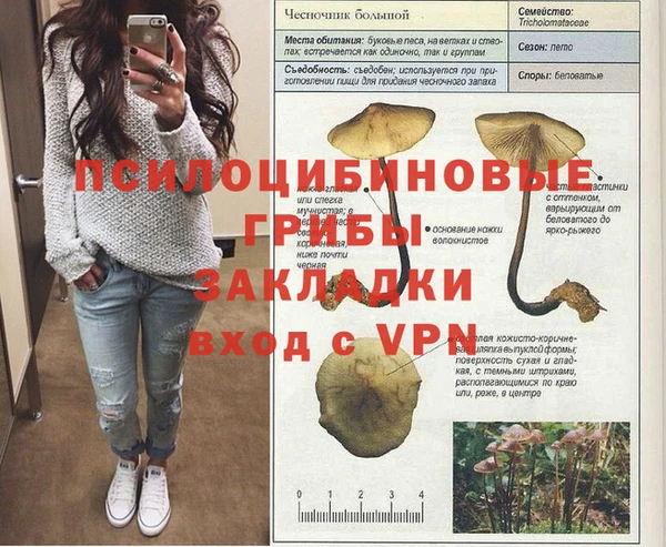 mdma Медвежьегорск