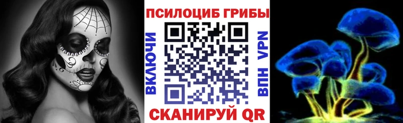 купить наркотики сайты  Рыбное  Псилоцибиновые грибы Cubensis 